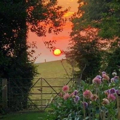 澳门新葡澳京手机app下载