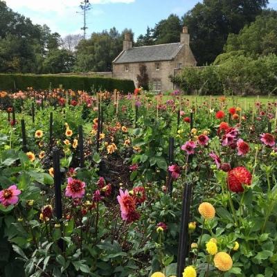 皇冠体官方网站app