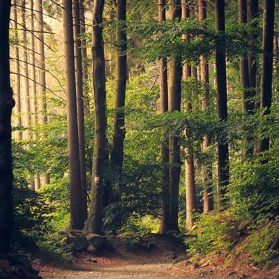 皇冠正规娱乐平台(官方)手机app下载