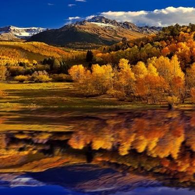 爱游戏·体育APP