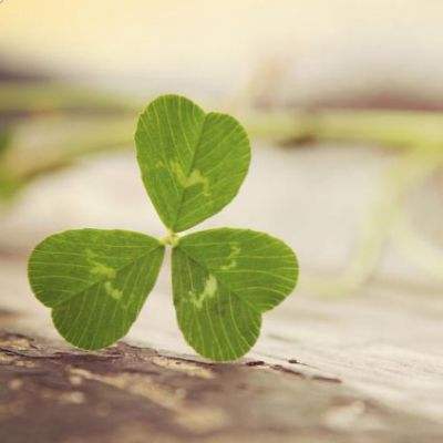 极速赛车社区合作平台