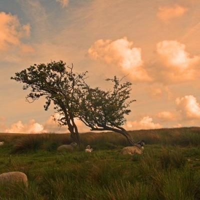 米博体育官方网站入口