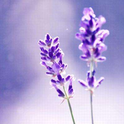 kaiyun体育官方网站全子站入口