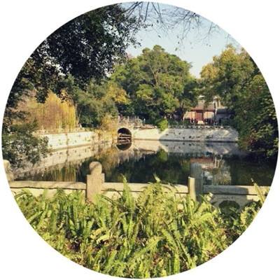 小罗代言米乐体育app手机app下载