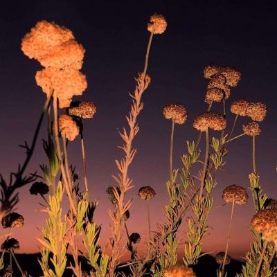 ag亚洲游戏国际平台