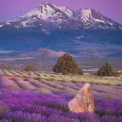 开云·体育平台