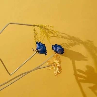 二人麻将手机app下载